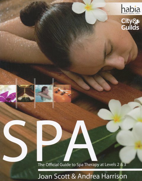 Body Therapy and Facial Work Electrical Treatments for Beauty Therapists 4th Edition by Mo Rosser, Sue Rosser, Greta Couldridge